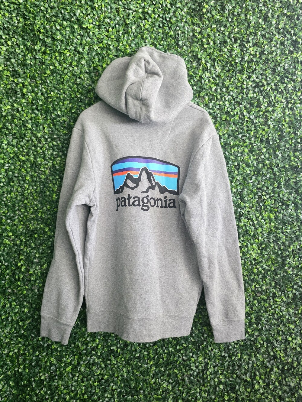 Patagonia Women's Gray Zip-Up Hoodie with Mountain Logo Size M